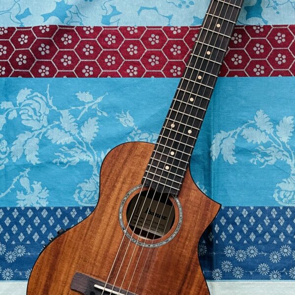 Ukulélé électro-acoustique ténor Ibanez EWP12EWB-OPN Natural n°2Y03GS250104233, housse
