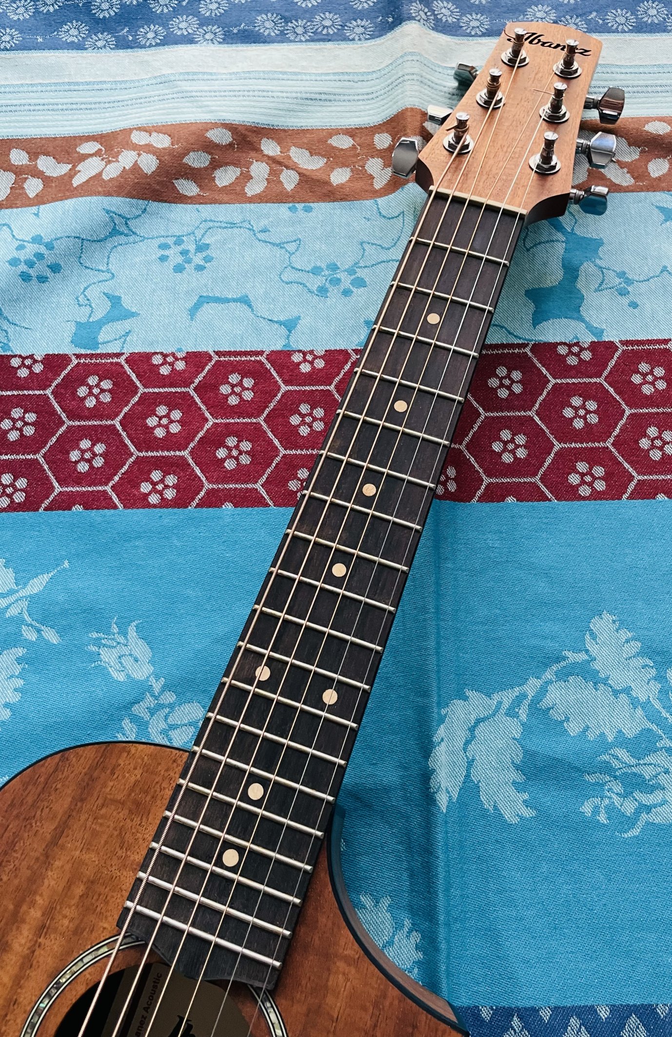 Ukulélé électro-acoustique ténor Ibanez EWP12EWB-OPN Natural n°2Y03GS250104233, housse – Image 3