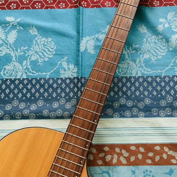 Guitare électro-acoustique Breedlove AJ250 SM n°08064475 (Korea) , housse – Image 3