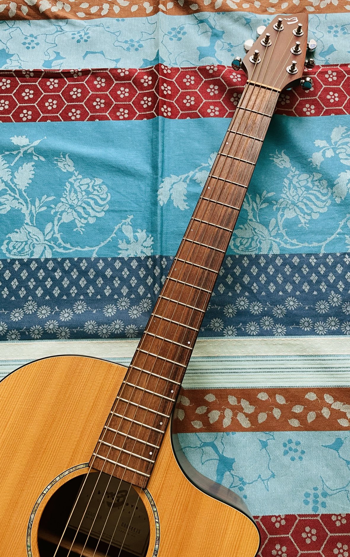 Guitare électro-acoustique Breedlove AJ250 SM n°08064475 (Korea) , housse – Image 3