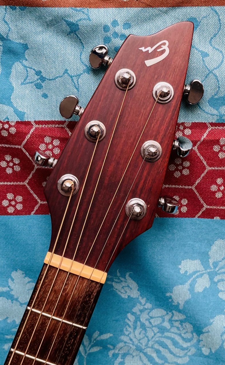 Guitare électro-acoustique Breedlove AJ250 SM n°08064475 (Korea) , housse – Image 5