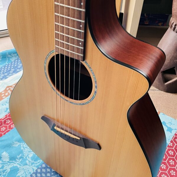 Guitare électro-acoustique Breedlove AJ250 SM n°08064475 (Korea) , housse – Image 12