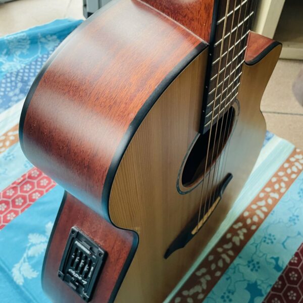 Guitare électro-acoustique Breedlove AJ250 SM n°08064475 (Korea) , housse – Image 13