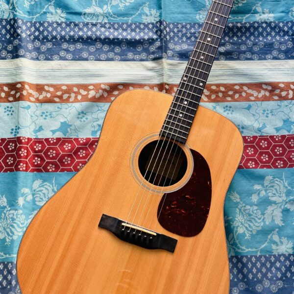 Guitare acoustique Eastman E1D n°15855218, housse d'origine