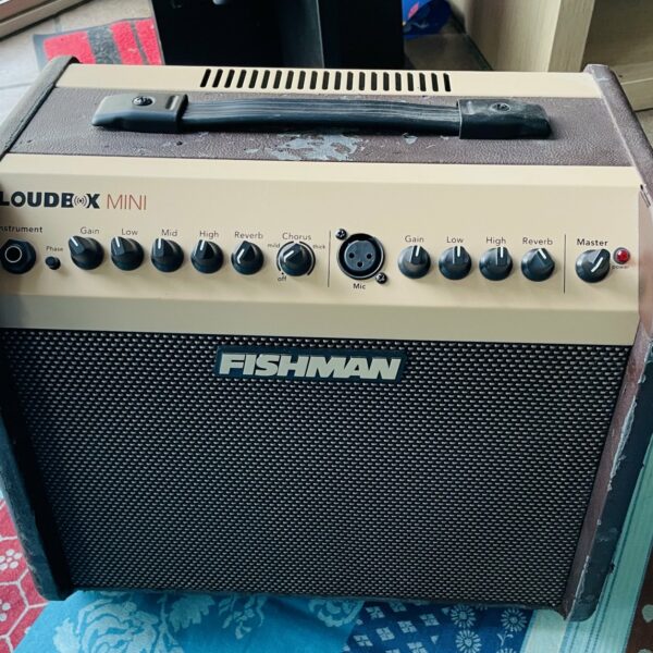 Ampli acoustique Fishman Loudbox Mini n°LBXEXSE445189, 60W