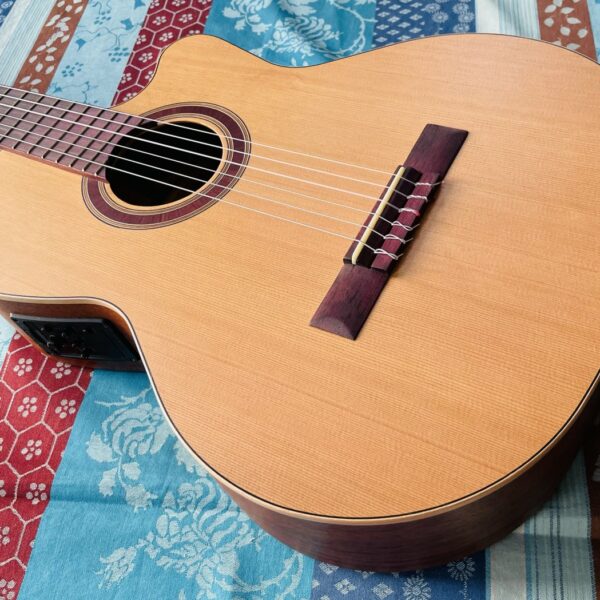Alternative view of Guitare classique Kremona Sofia SC65 CW Green Globe n°25.005.1.02 (2025, Bulgarie), housse POD